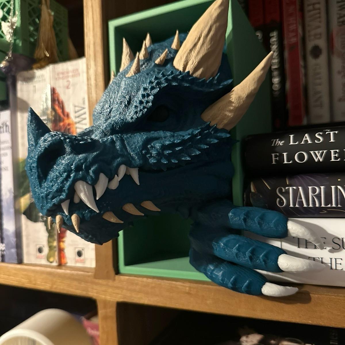 Dragon book nook Decor Print Ornaments