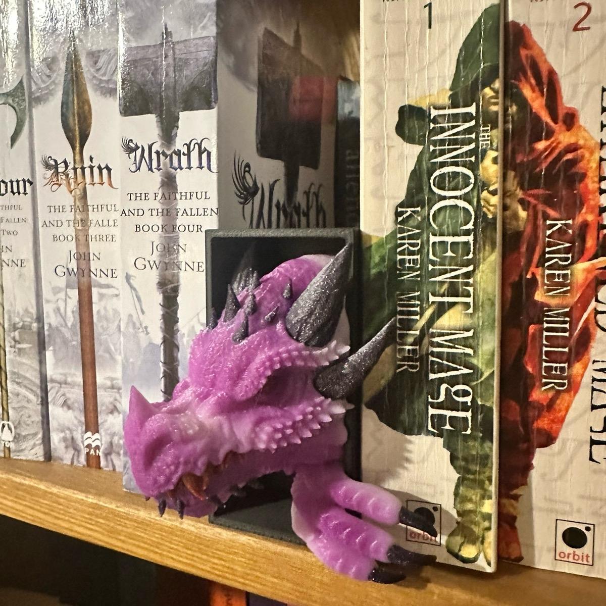 MINI Dragon book nook